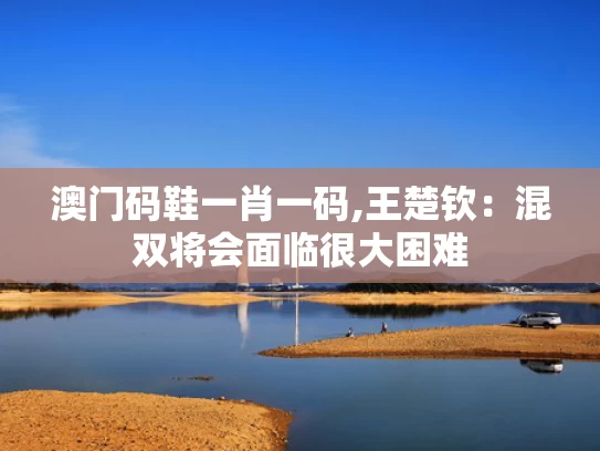 澳门码鞋一肖一码,王楚钦：混双将会面临很大困难