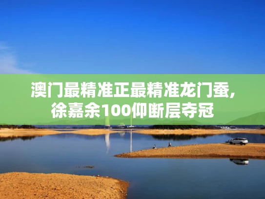 澳门最精准正最精准龙门蚕,徐嘉余100仰断层夺冠