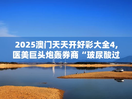 2025澳门天天开好彩大全4,医美巨头炮轰券商“玻尿酸过时”论