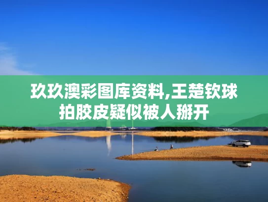 玖玖澳彩图库资料,王楚钦球拍胶皮疑似被人掰开