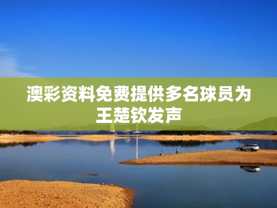 澳彩资料免费提供	多名球员为王楚钦发声