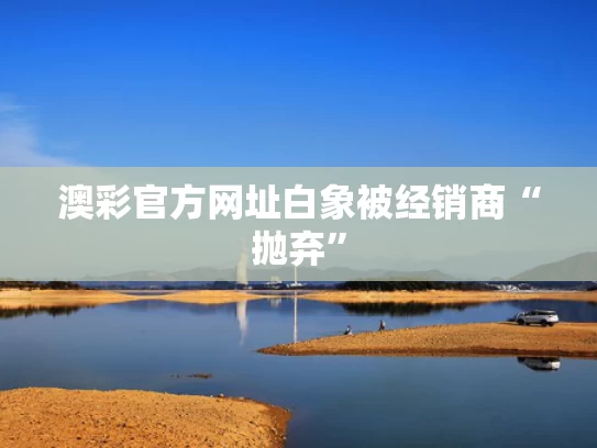 澳彩官方网址	白象被经销商“抛弃”