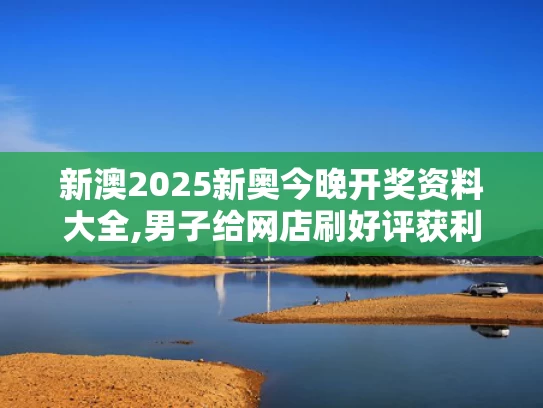新澳2025新奥今晚开奖资料大全,男子给网店刷好评获利780万被判刑