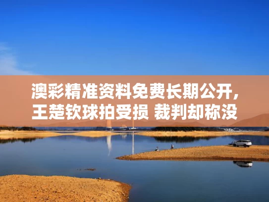 澳彩精准资料免费长期公开,王楚钦球拍受损 裁判却称没关系
