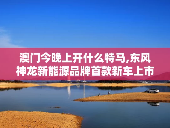 澳门今晚上开什么特马,东风神龙新能源品牌首款新车上市