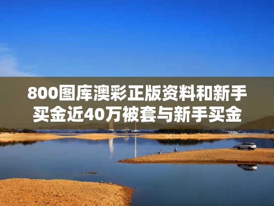 800图库澳彩正版资料	和新手买金近40万被套与新手买金近40万被套能赚多少
