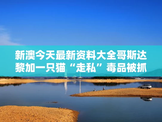 新澳今天最新资料大全	哥斯达黎加一只猫“走私”毒品被抓