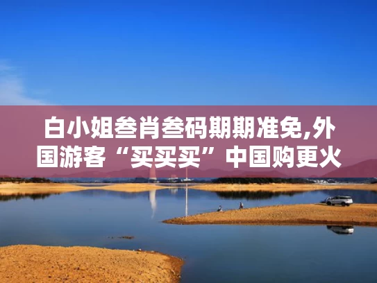 白小姐叁肖叁码期期准免,外国游客“买买买”中国购更火了