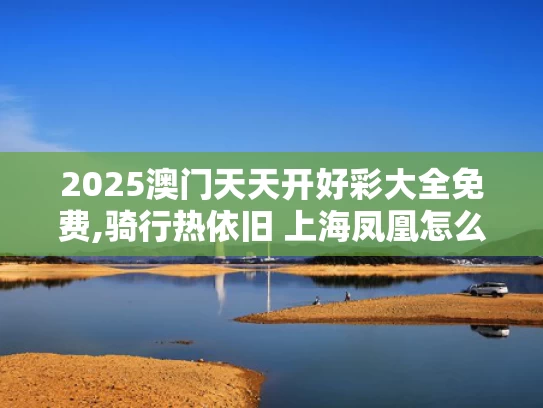 2025澳门天天开好彩大全免费,骑行热依旧 上海凤凰怎么不行了