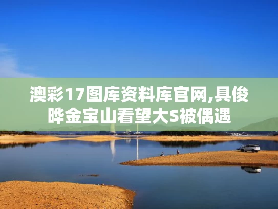 澳彩17图库资料库官网,具俊晔金宝山看望大S被偶遇