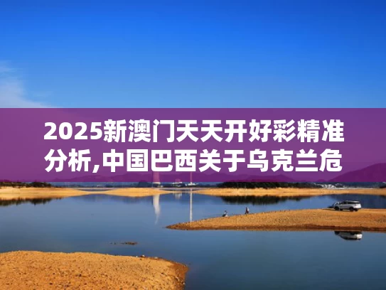 2025新澳门天天开好彩精准分析,中国巴西关于乌克兰危机的联合声明
