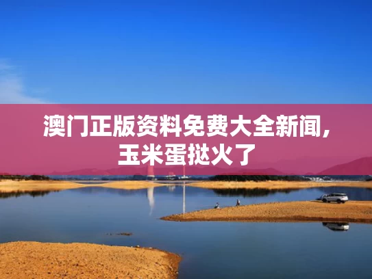 澳门正版资料免费大全新闻,玉米蛋挞火了