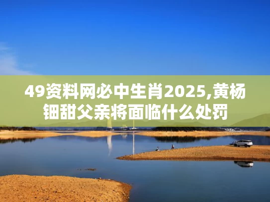 49资料网必中生肖2025,黄杨钿甜父亲将面临什么处罚