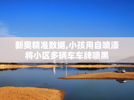 新奥精准数据,小孩用自喷漆将小区多辆车车牌喷黑