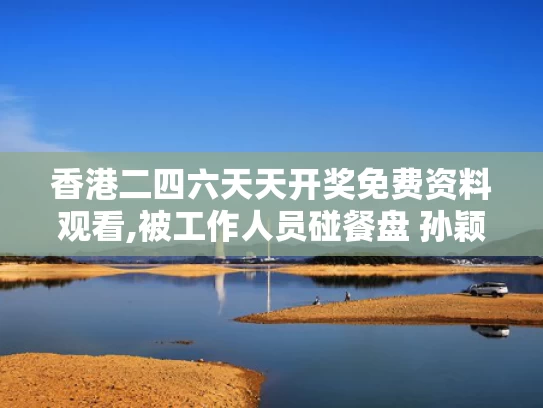香港二四六天天开奖免费资料观看,被工作人员碰餐盘 孙颖莎急忙制止