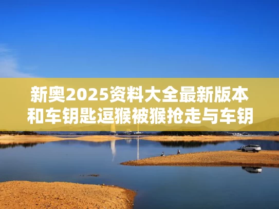 新奥2025资料大全最新版本和车钥匙逗猴被猴抢走与车钥匙被人抢走了怎么办