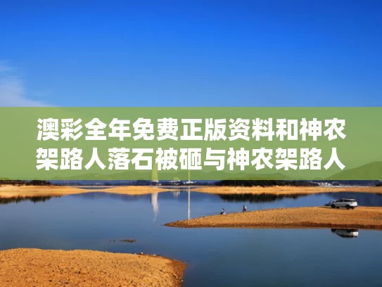澳彩全年免费正版资料	和神农架路人落石被砸与神农架路人落石被砸是哪一集
