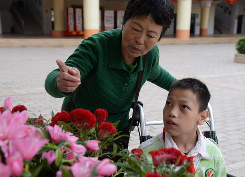 2025新澳门开奖记录和送孙子上学被撞身亡与奶奶送孙子上学遇车祸