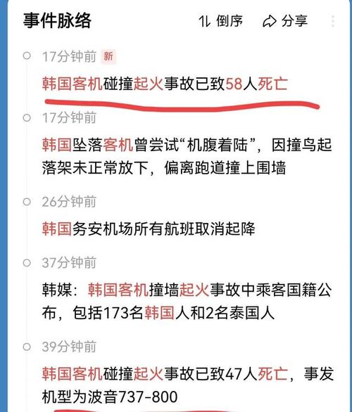 2025新澳门王中王正版和韩国发生飞机坠毁与韩国发生飞机坠毁事件