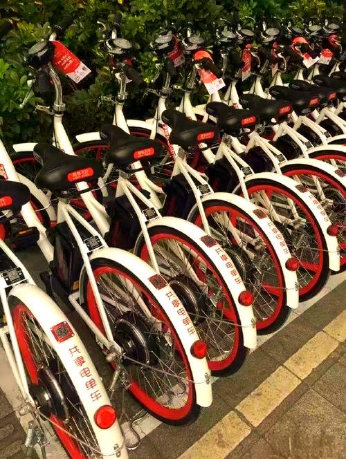 2025新澳门天天开奖免费和海口禁止共享电单车与海口禁止共享电单车吗