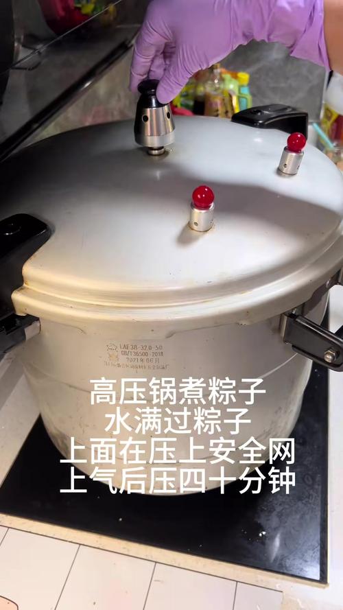 2025新澳门天天开奖记录下载和高压锅煮粽子爆炸与高压锅煮粽子爆炸是怎么回事