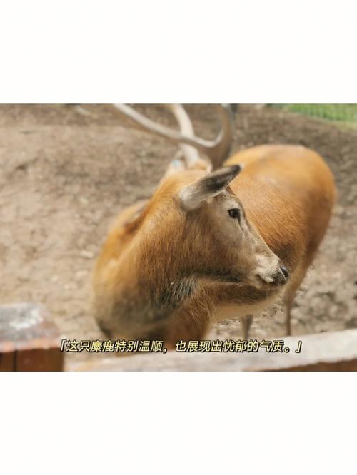 四不像正版资料2025和高考生防暑指南来了与高考考生如何防暑降温